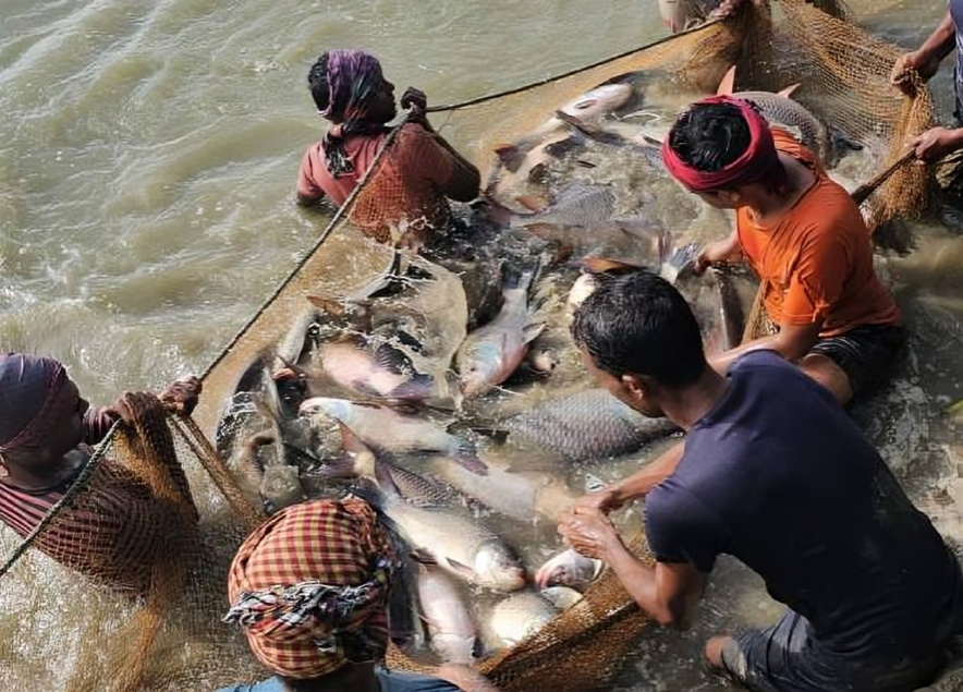 গুণগত মানসম্মত প্রাণিজ খাদ্যে বাংলাদেশের বিশ্বস্ত সহযোগী